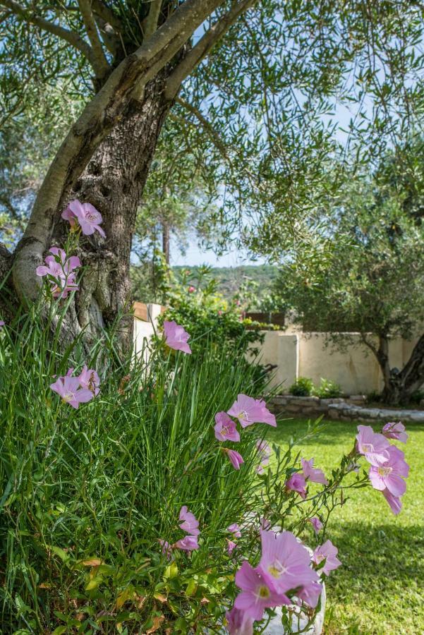 Corfu Villa Linea Linia Екстер'єр фото
