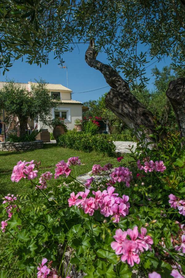 Corfu Villa Linea Linia Екстер'єр фото