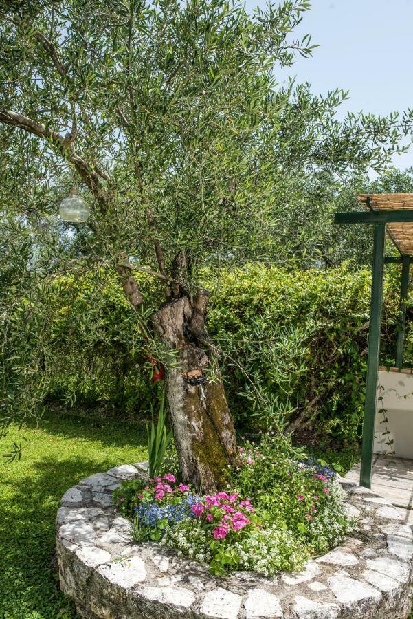 Corfu Villa Linea Linia Екстер'єр фото